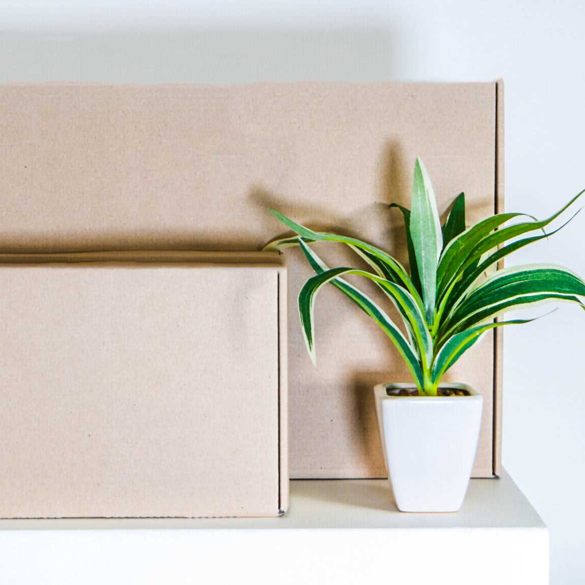 Scatola neutra automontante con chiusura standard